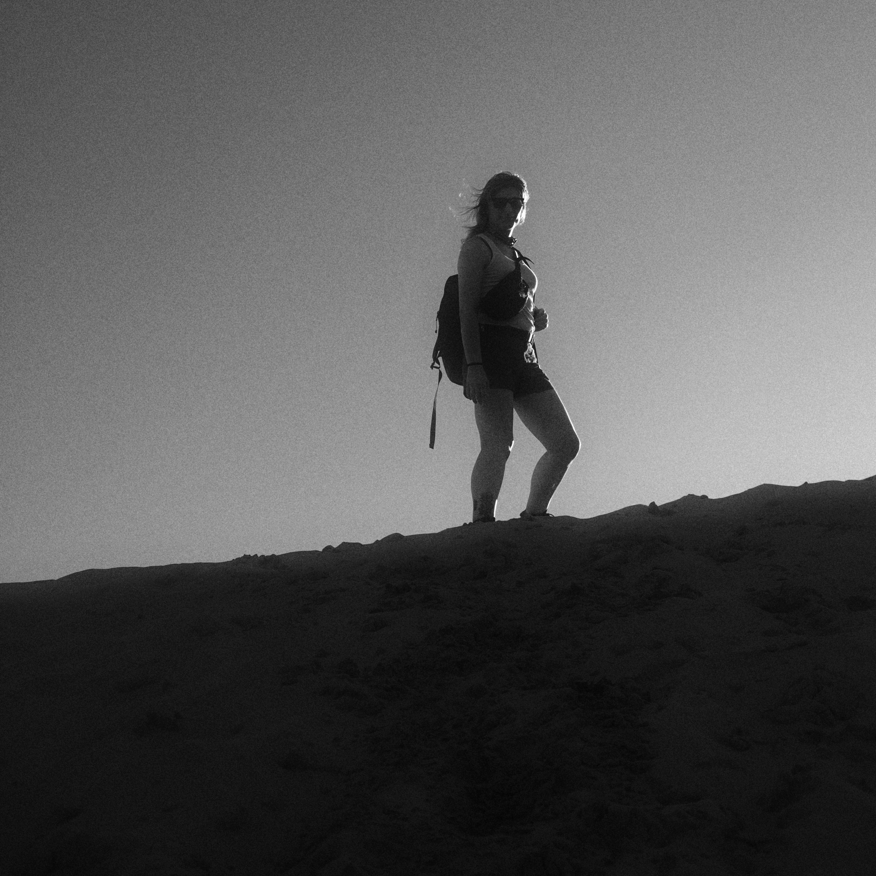 raven standing ontop a dune at the Oregon Dunes, the photo is black and white