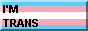 im trans 88x31