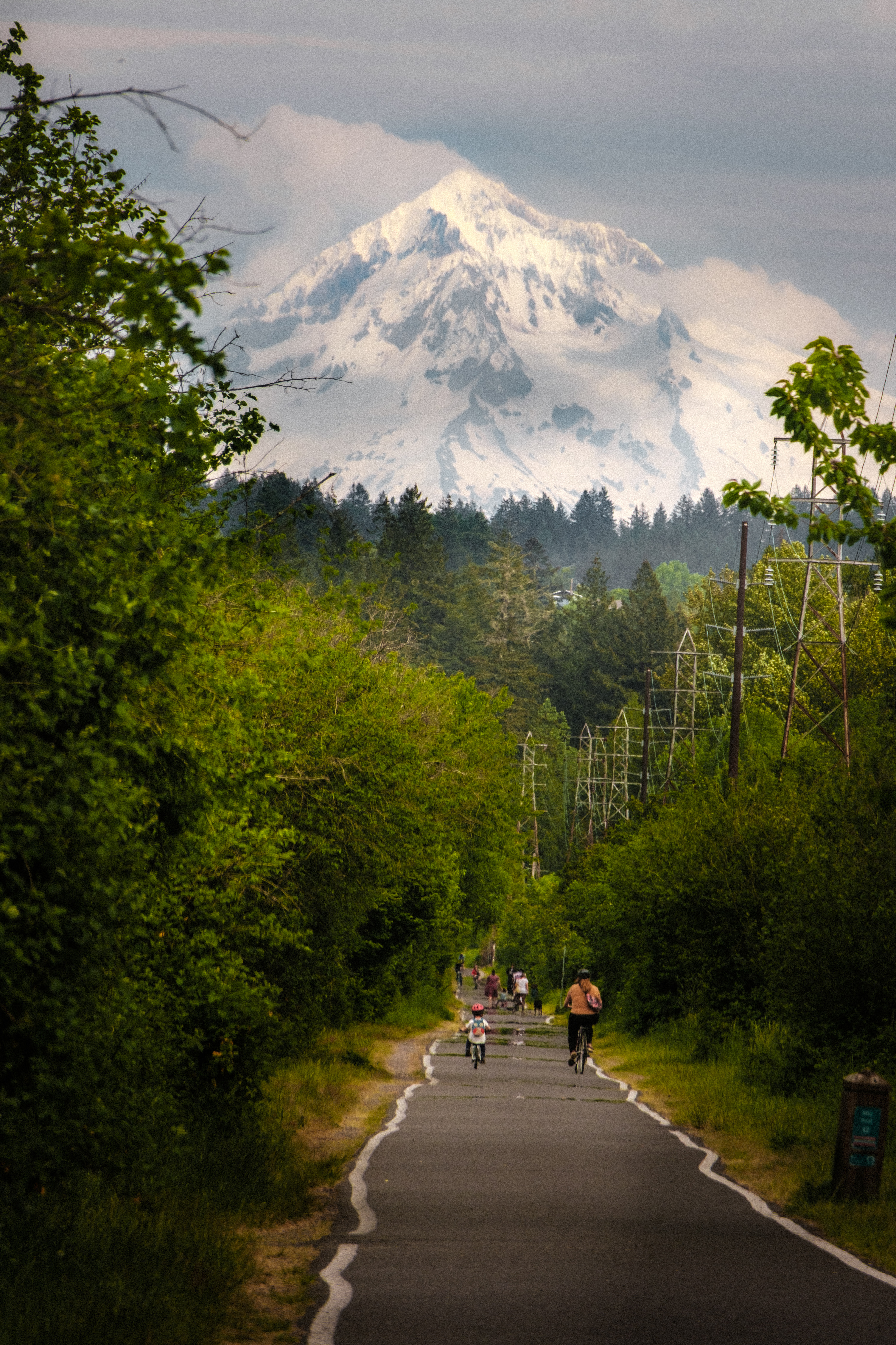 a trail in Portland with Mt. Hood in the background