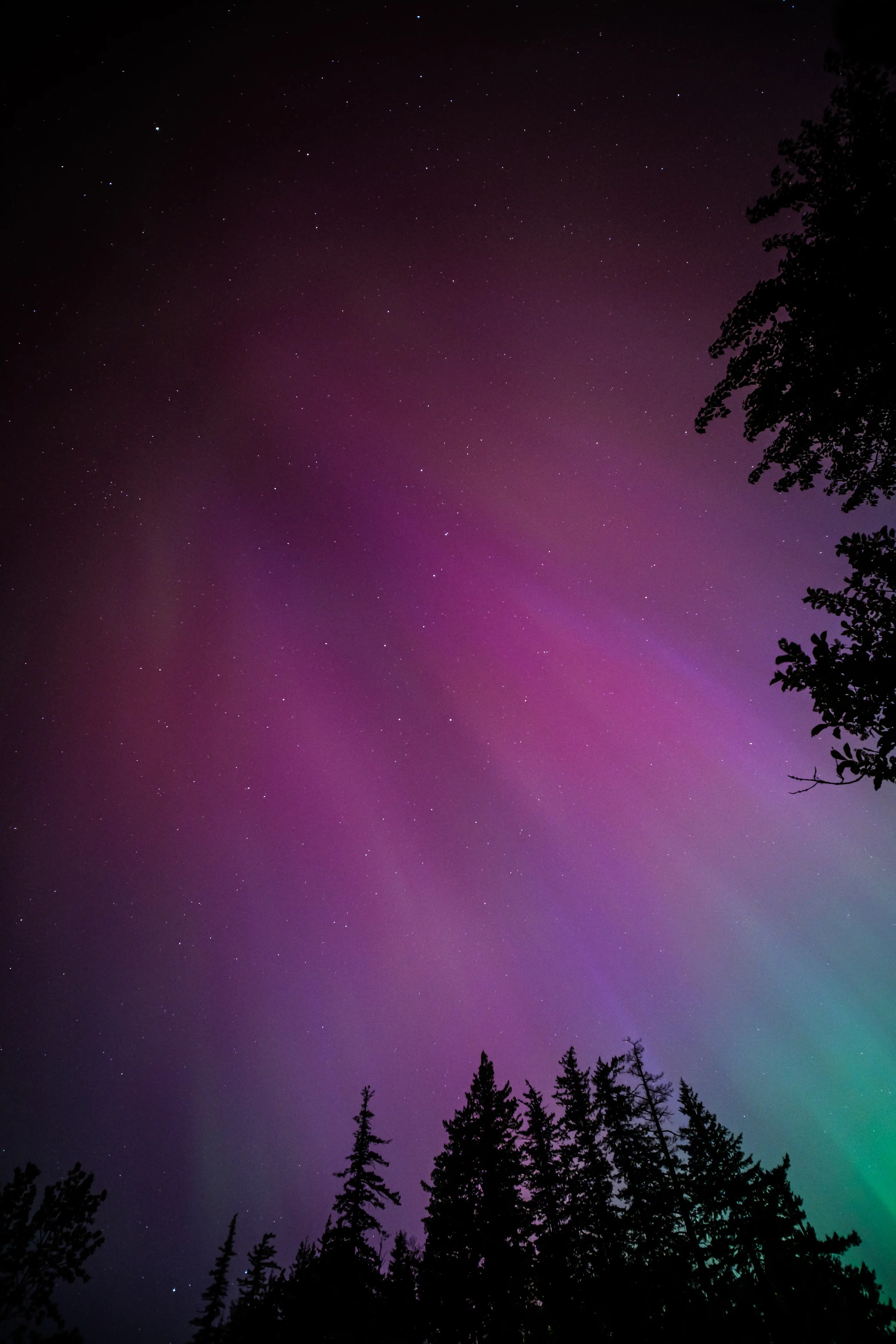 the northernlights from in the columbia river gorge in oregon