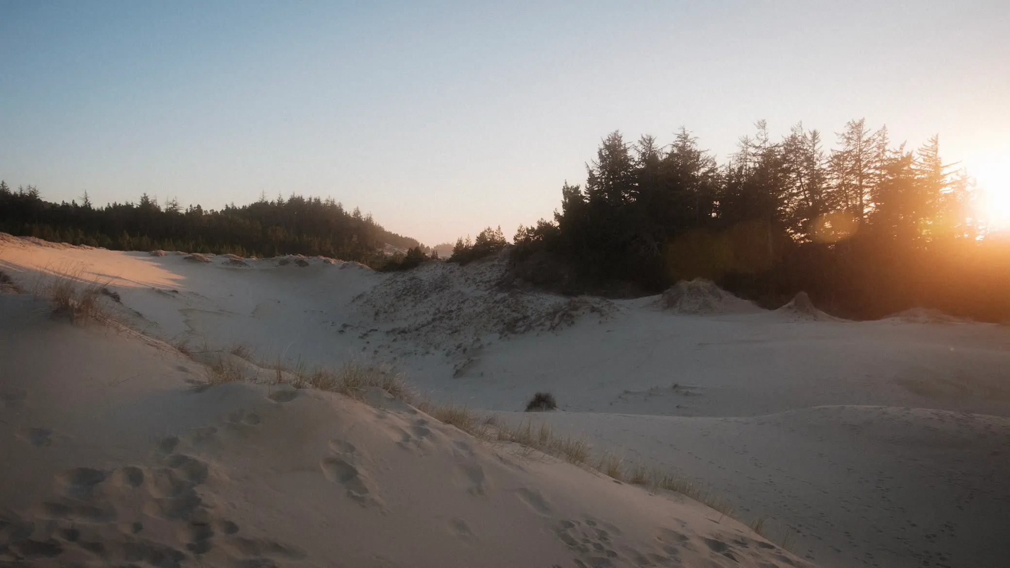 Oregon Dunes at sunset