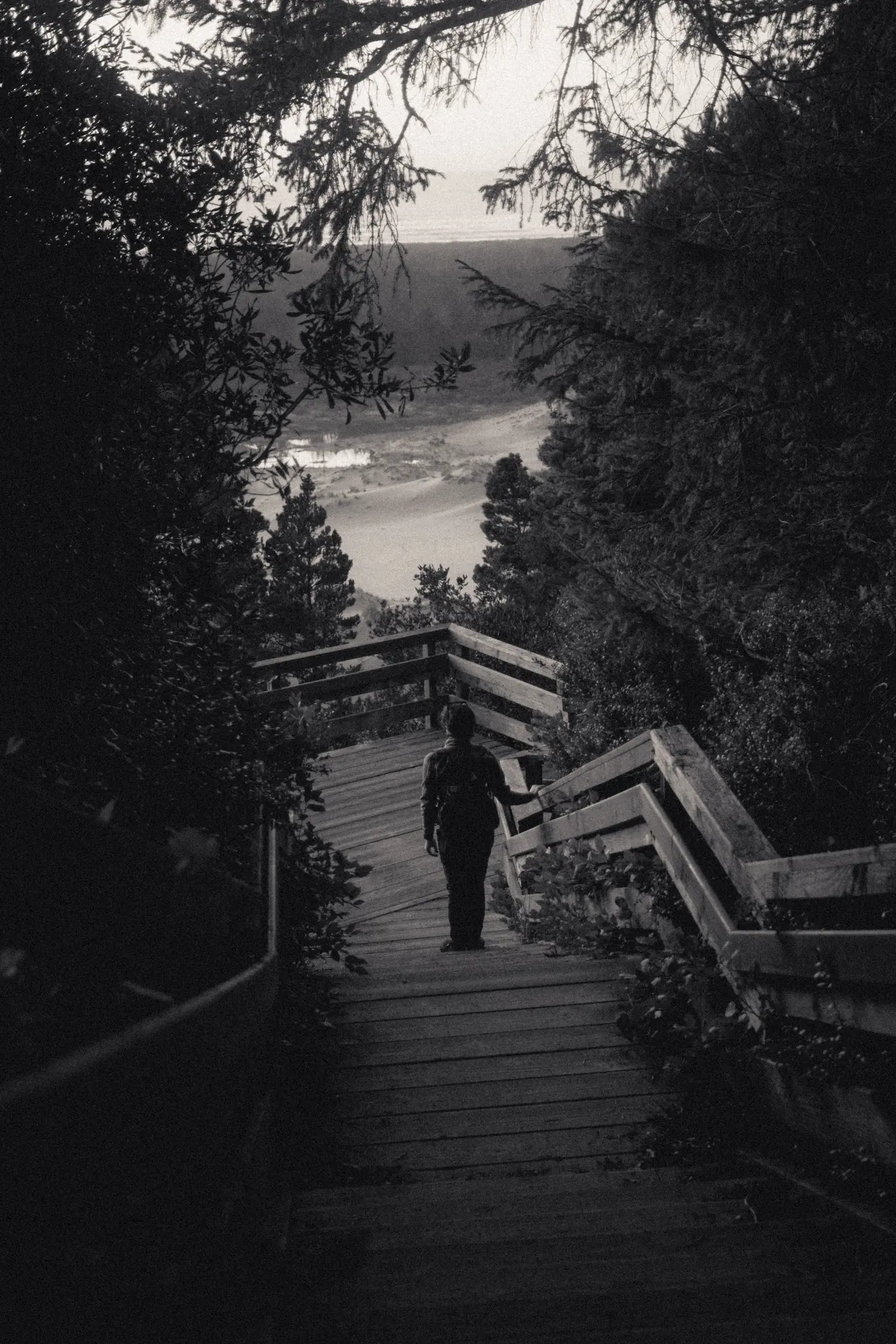 person walking down a set of stairs