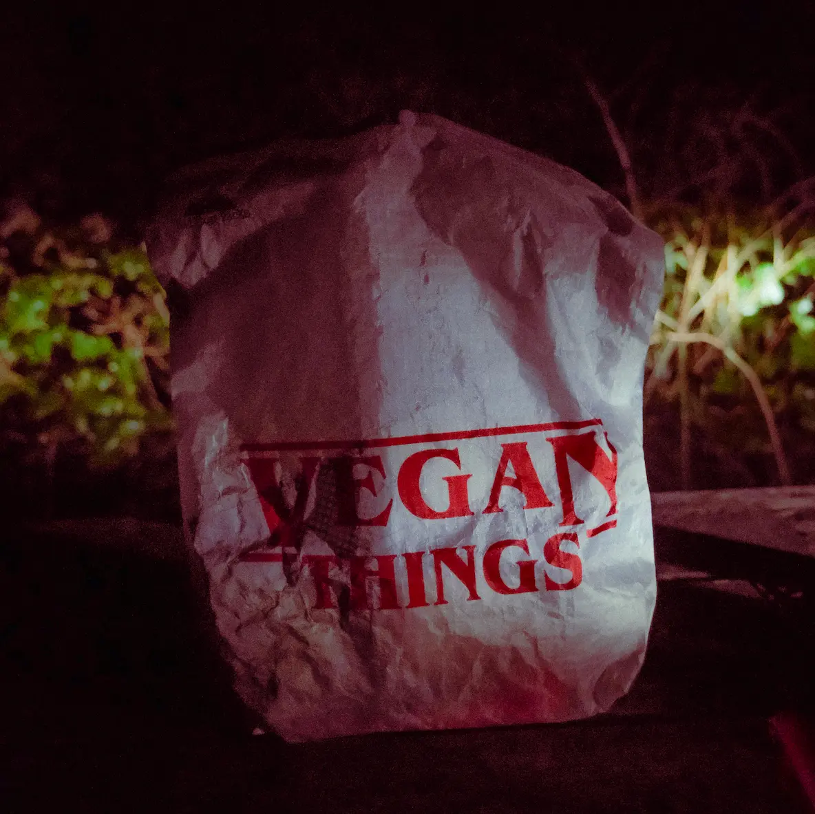 Bag for food that has 'Vegan Things' written on it