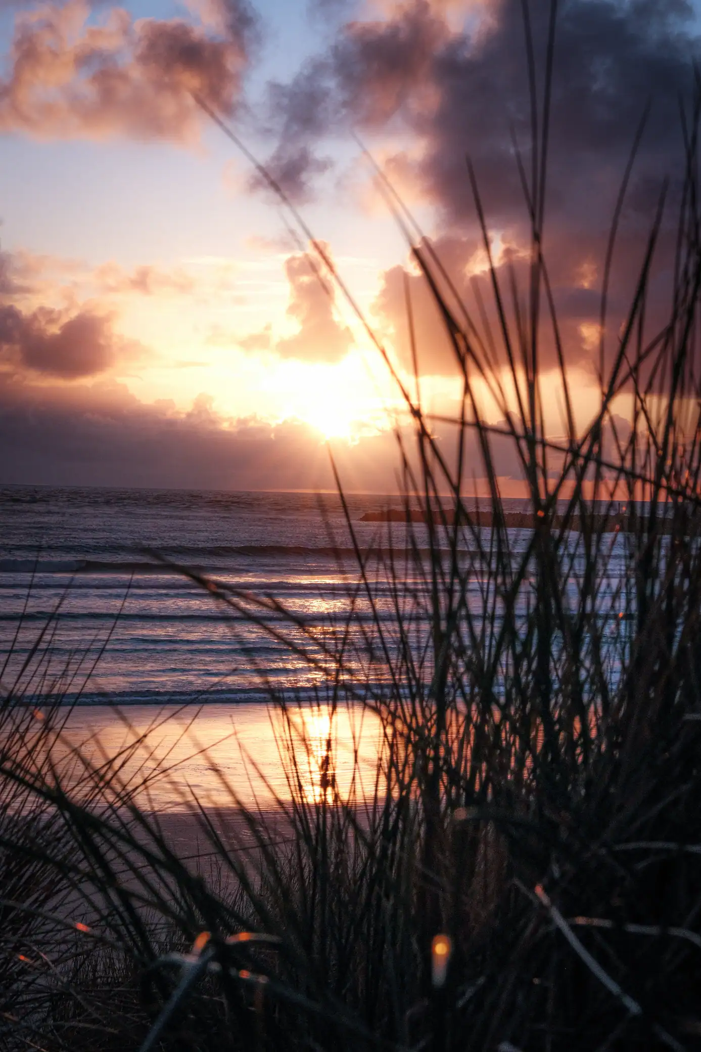 Sunset at South Beach State Park through the grass