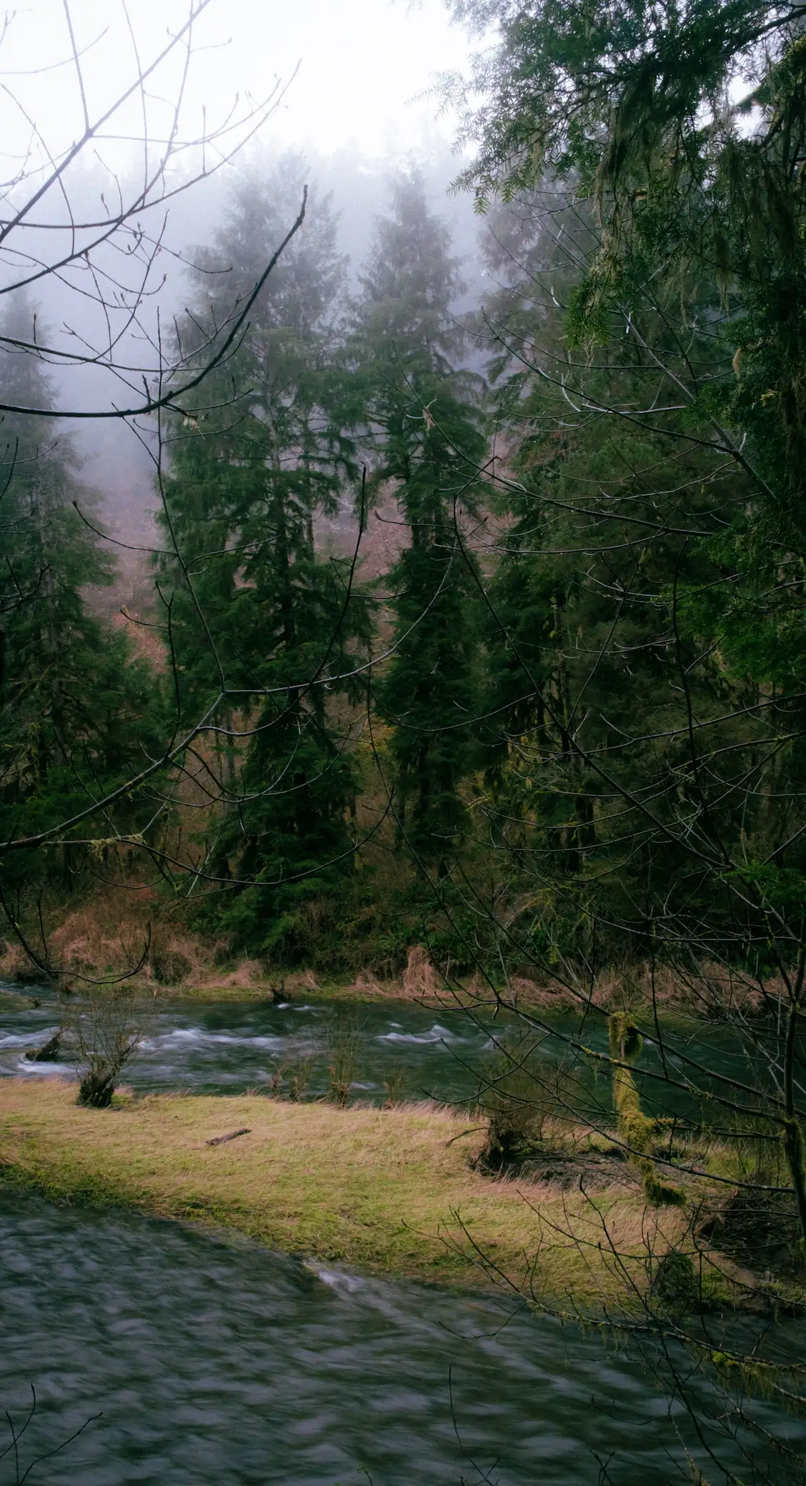 creek on a cloudy morning