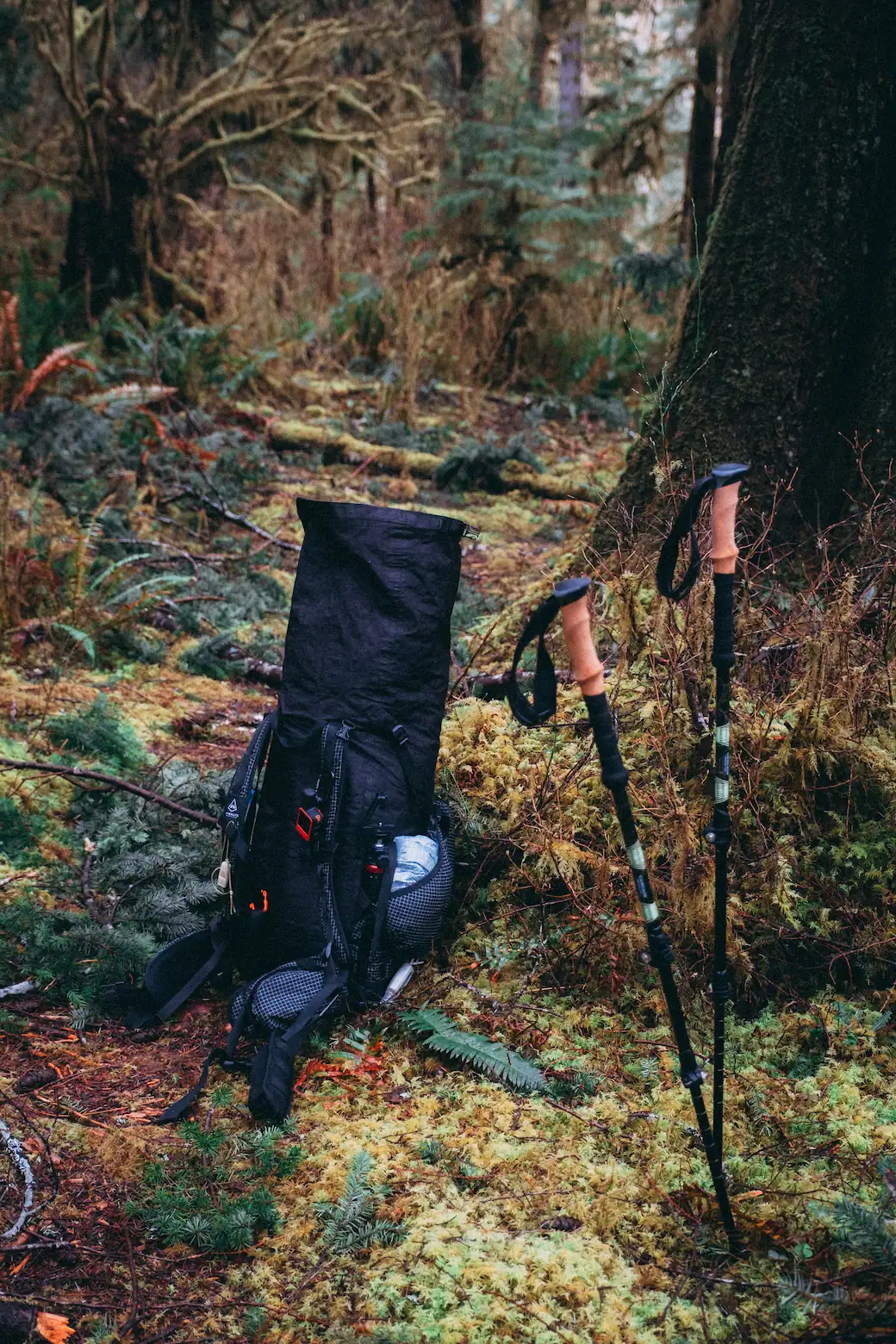 backpack and hiking poles