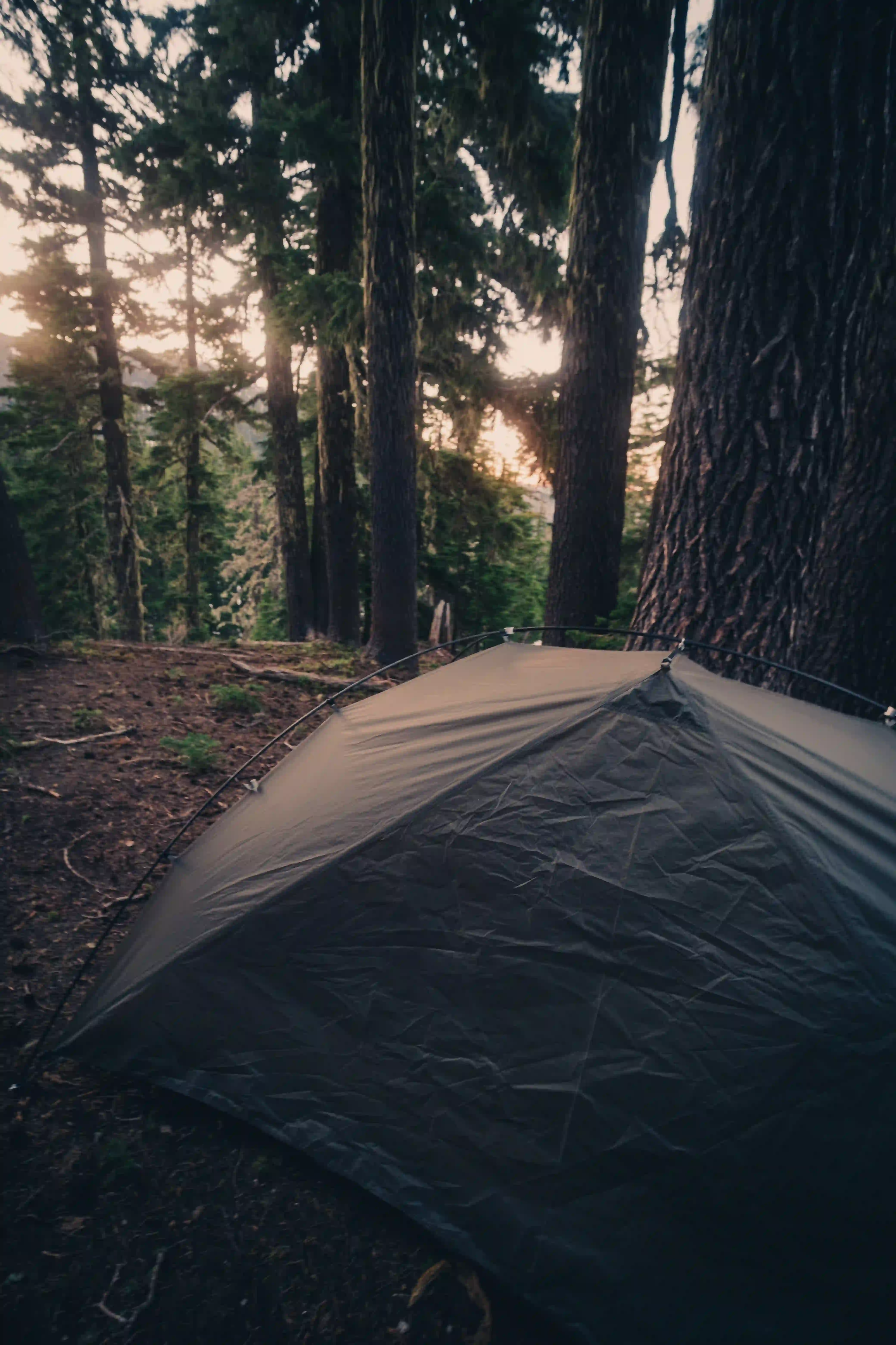 Tent in the woods at sunset