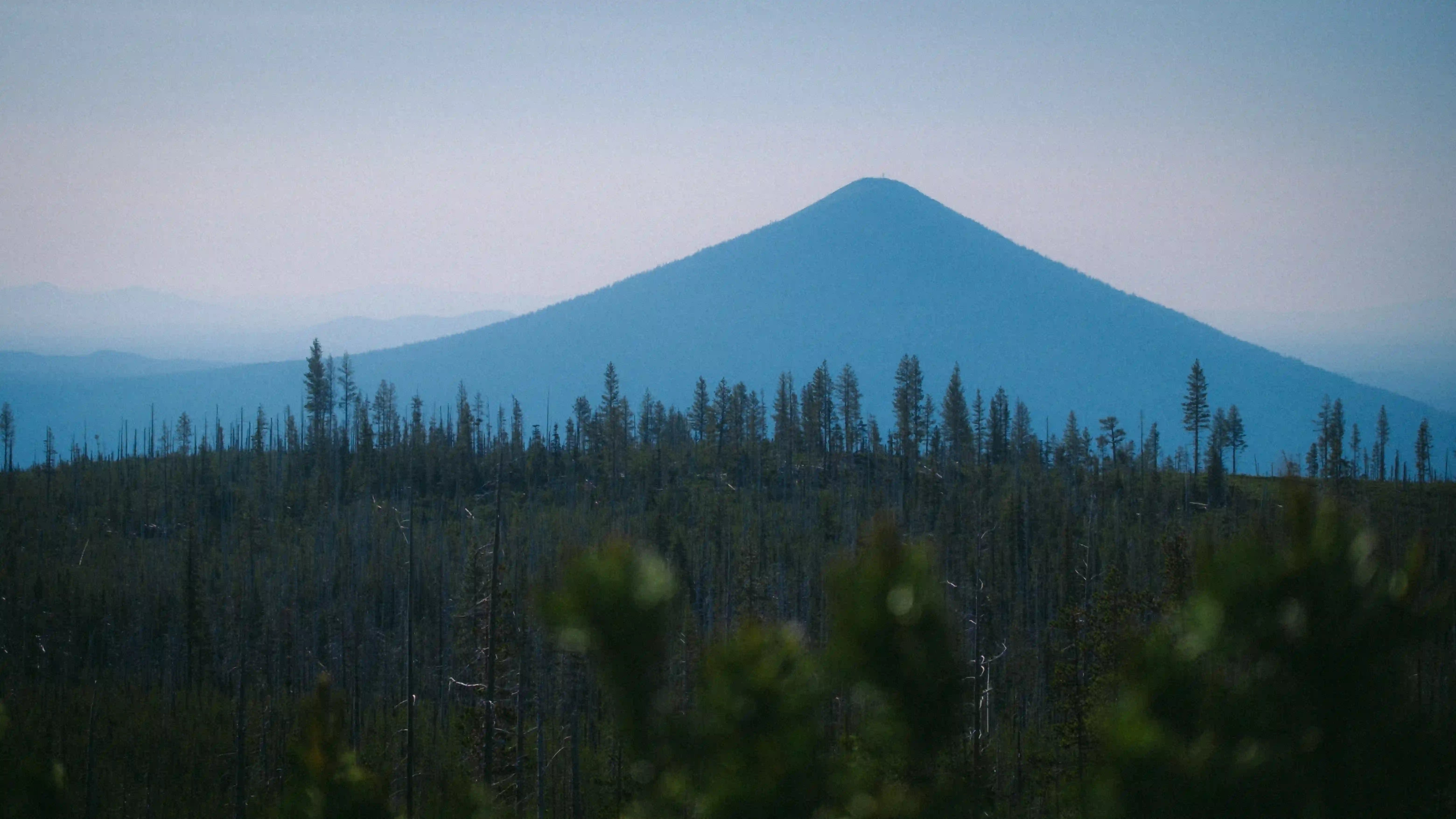 Black Butte mountain in the distance with green growth in front