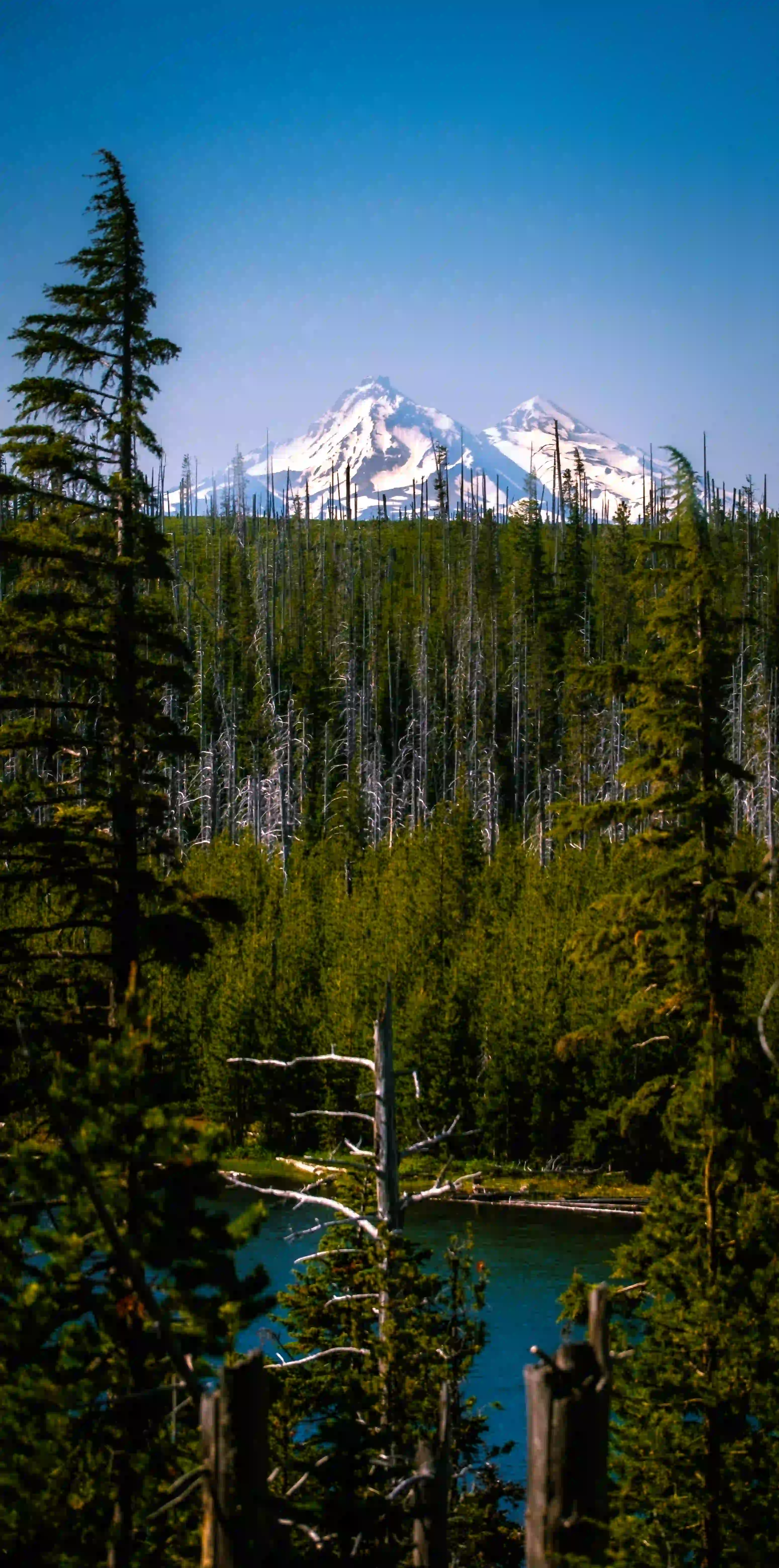 Sisters mountains with lake and forest in front