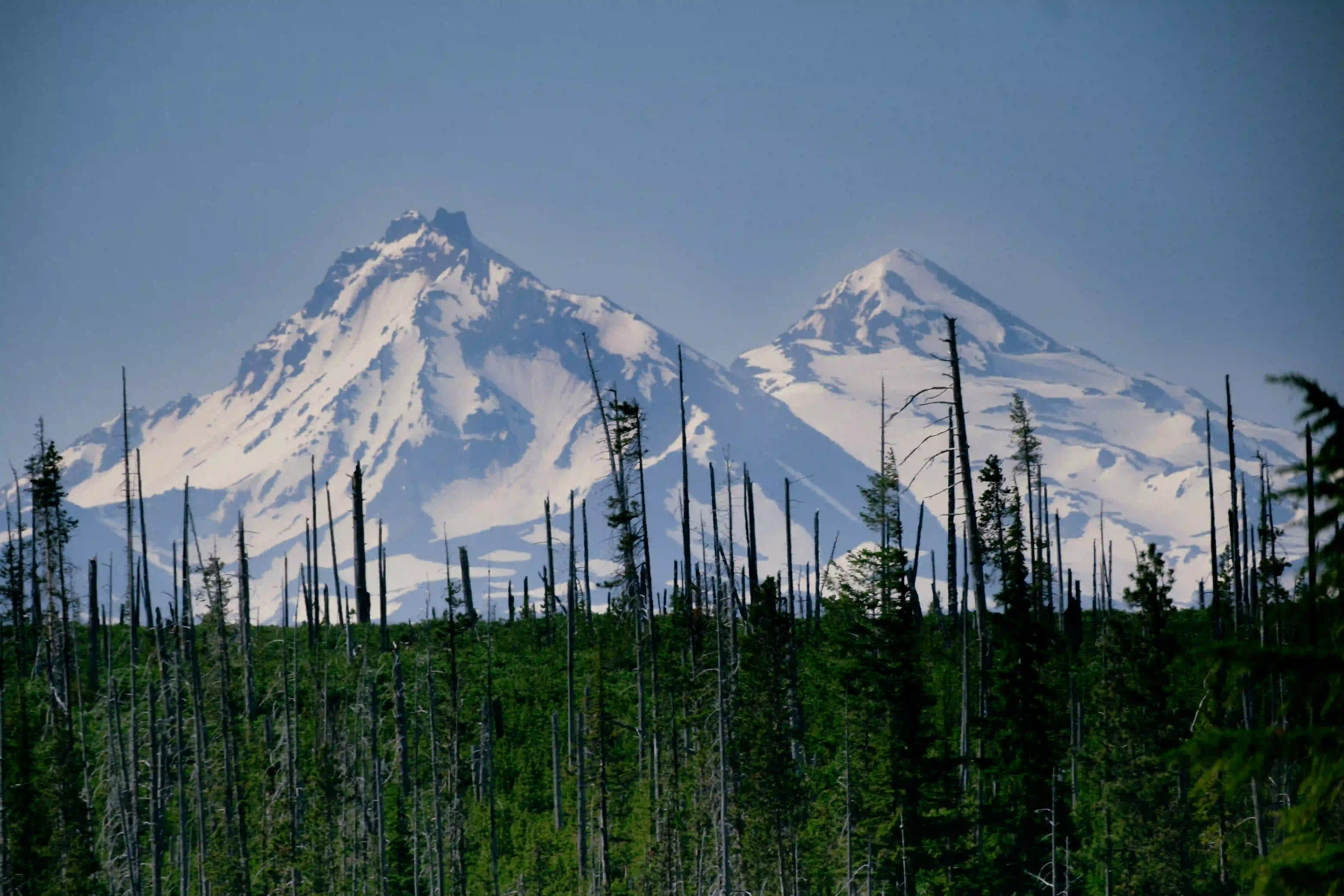 Sisters mountains large in the frame with forest in front