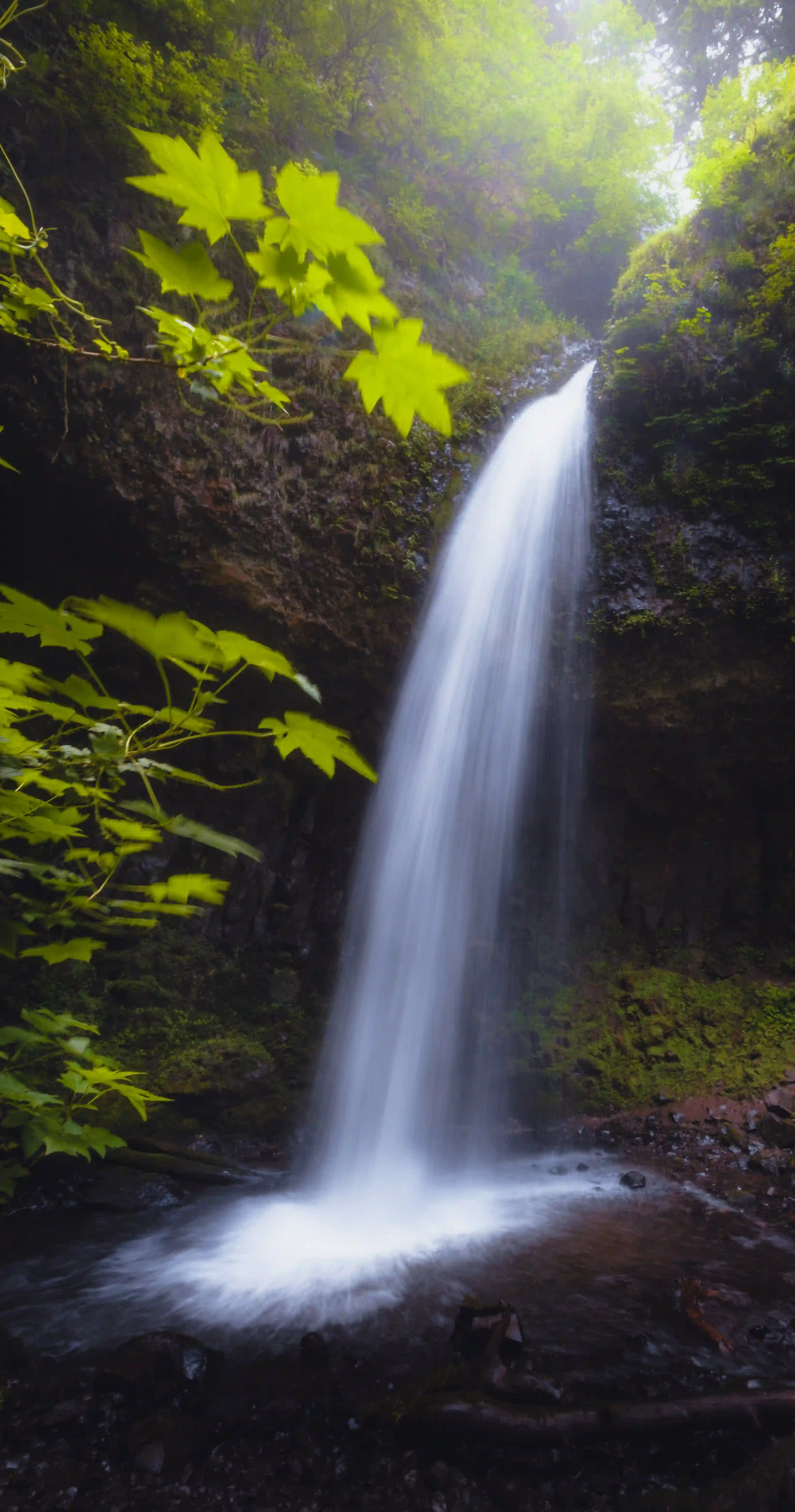 waterfall with green around