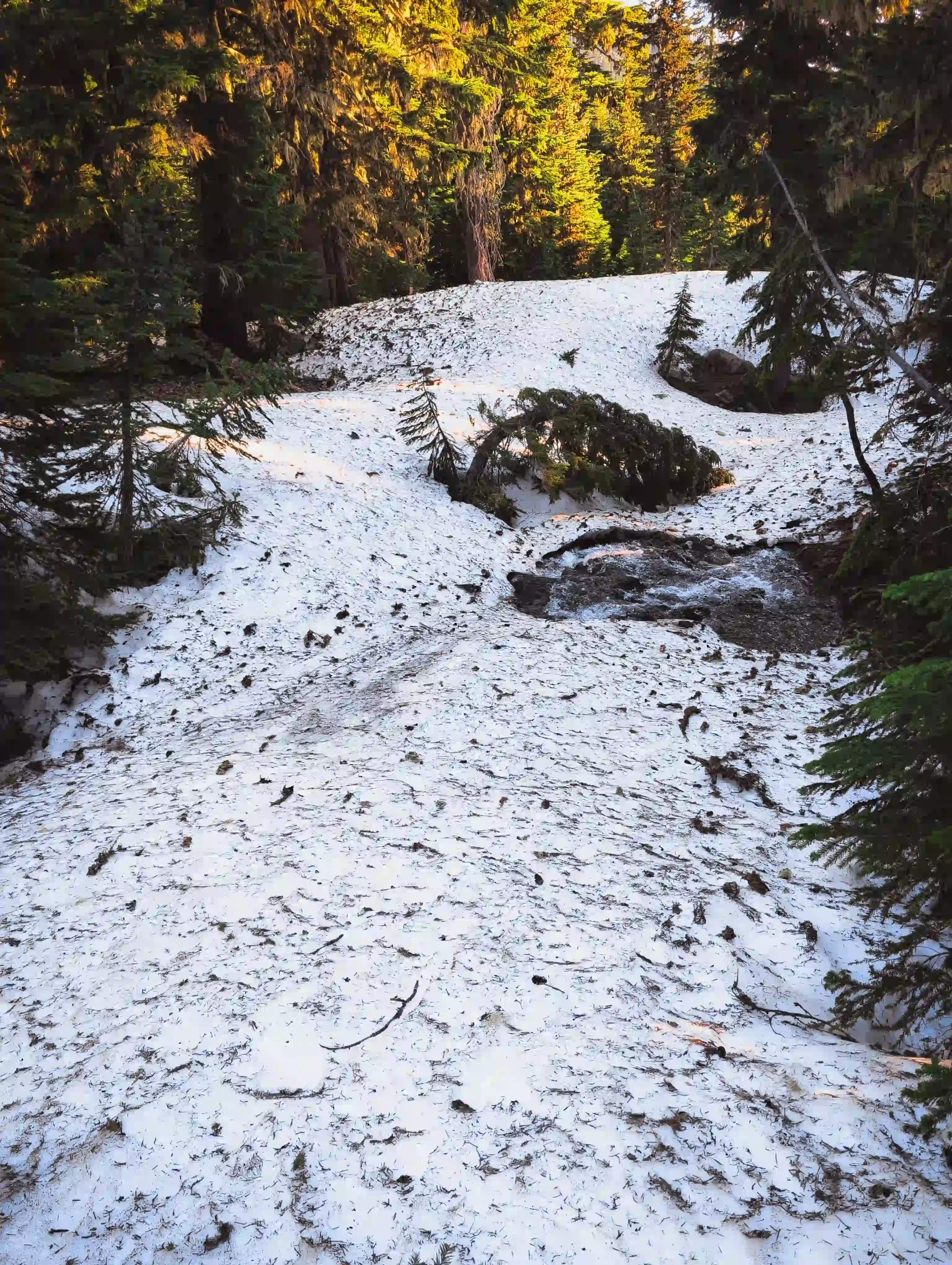 creek peeking through the snow