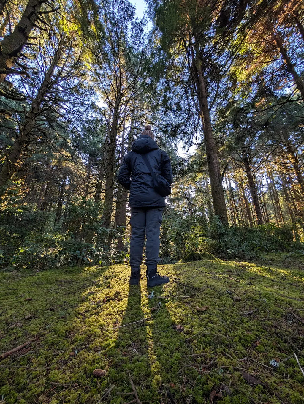 Person standing in a forest with their back to the viewer