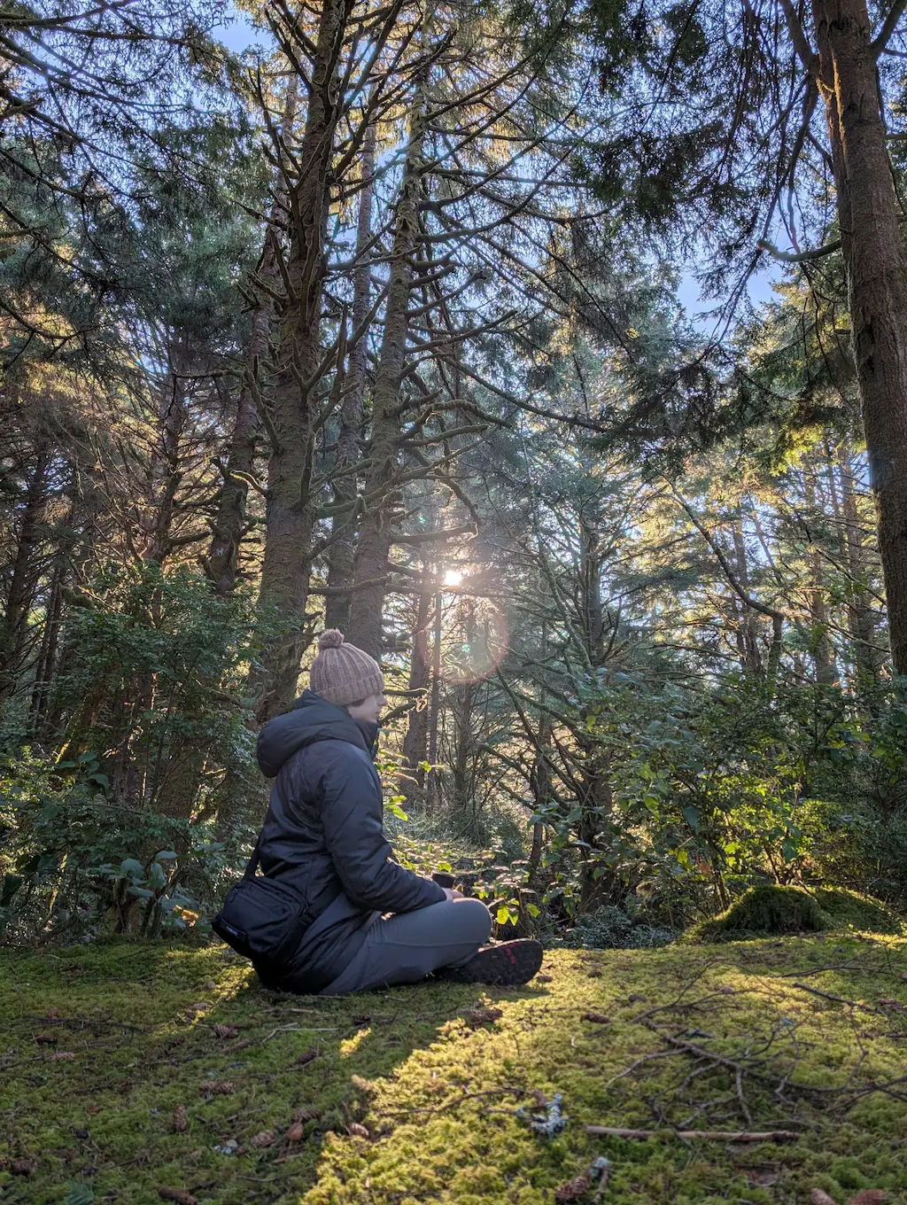 Person sitting cross-legged in a forest with the sun shining on them