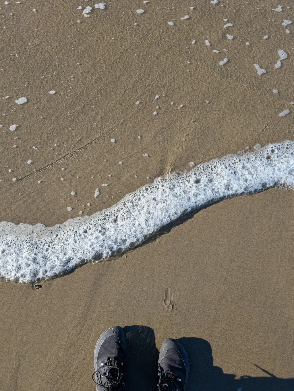 The foamy waves approach a person's shoes