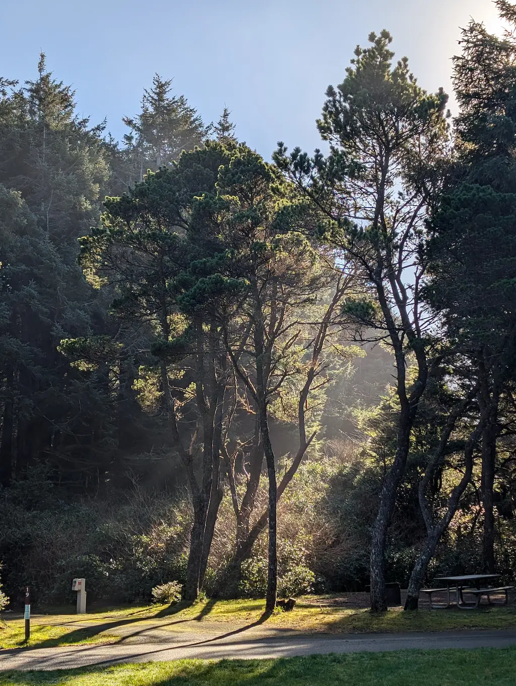 campground area with sun shining through