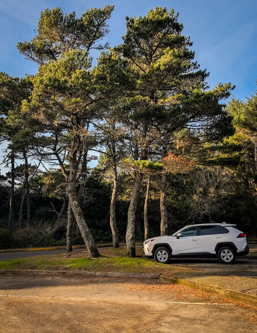 Toyota Rav 4 parked underneath some trees