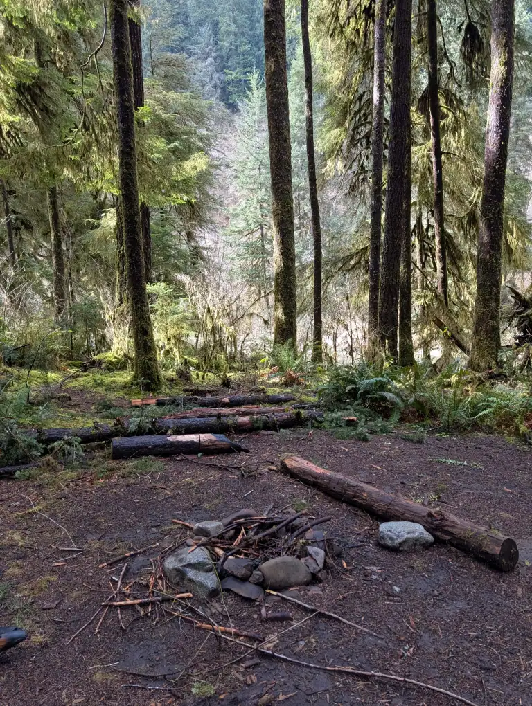 camping area with a firepit near a creek