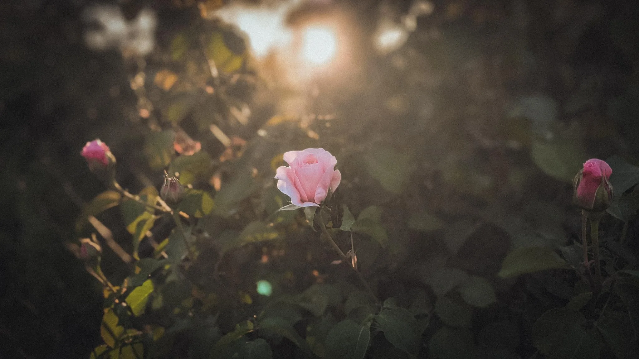 author looking at the camera holding a peace sign, smiling, with mountains behind her